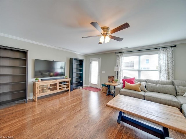 living room featuring hardwood / wood-style floors, ceiling fan, and crown molding