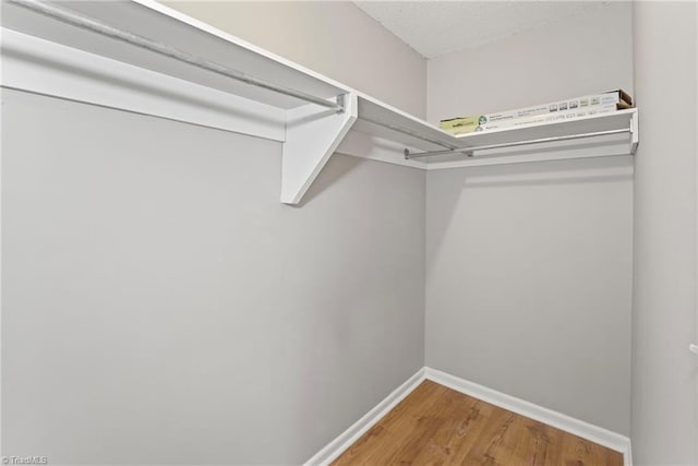 walk in closet with wood-type flooring