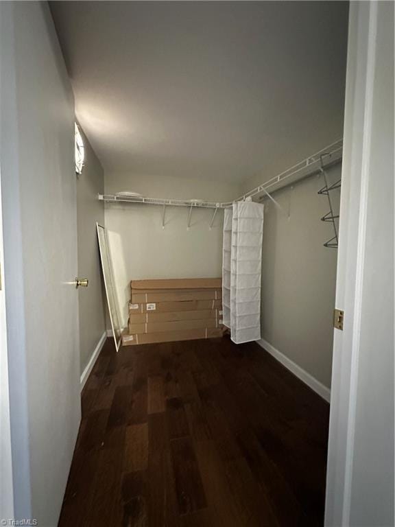 walk in closet featuring wood finished floors