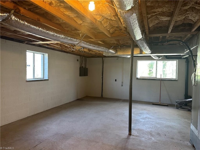 basement with electric panel