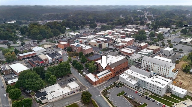 bird's eye view