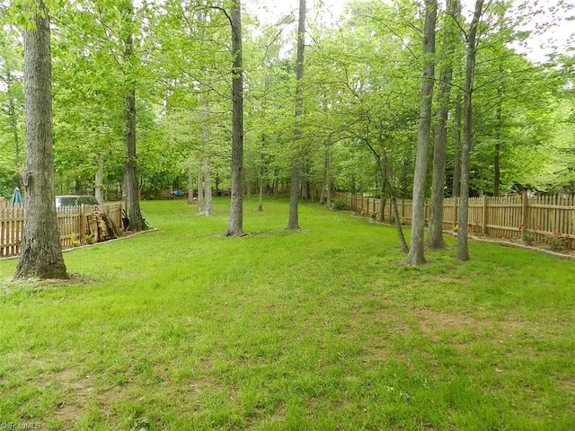 view of yard