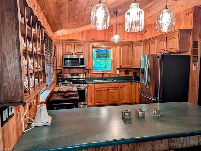 kitchen with pendant lighting, lofted ceiling, appliances with stainless steel finishes, and sink