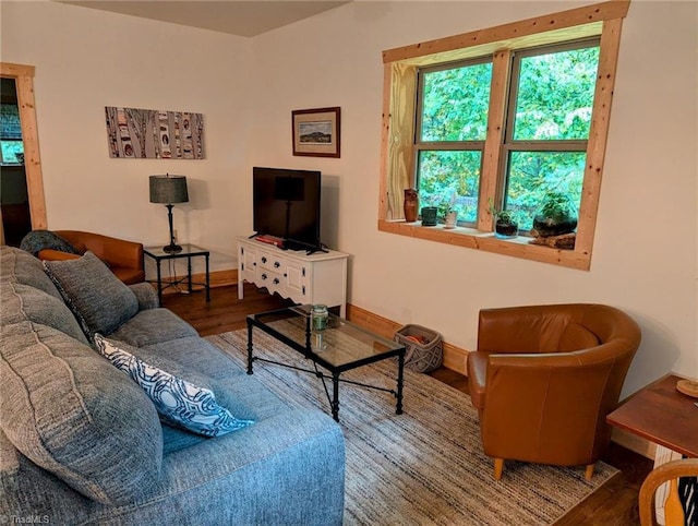 living room featuring hardwood / wood-style floors