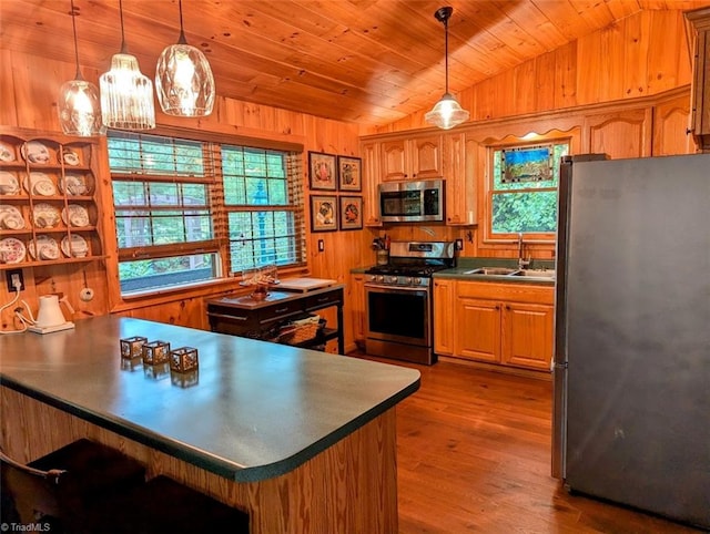 kitchen featuring appliances with stainless steel finishes, a healthy amount of sunlight, lofted ceiling, and sink