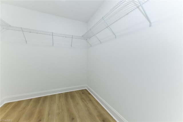 spacious closet featuring wood-type flooring