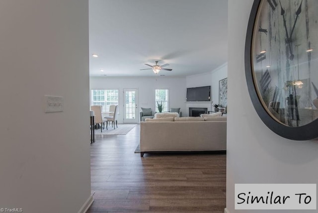 living room featuring ceiling fan, crown molding, and dark hardwood / wood-style floors