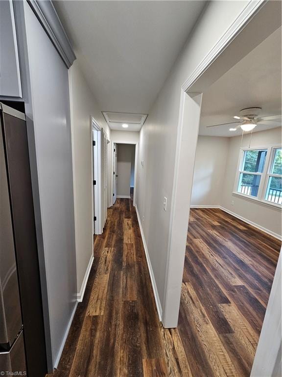 hallway featuring dark wood-type flooring