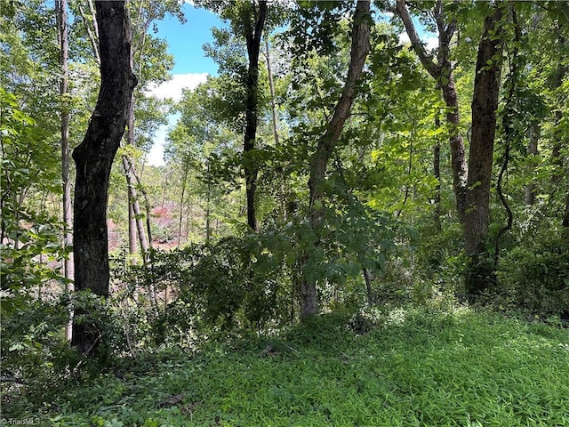 TBD S Recreation Rd, Wilkesboro, NC 28697