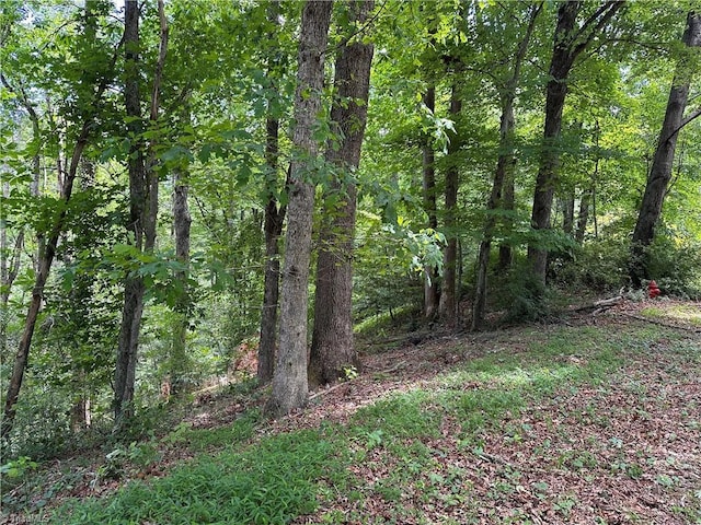 TBD S Recreation Rd, Wilkesboro, NC 28697