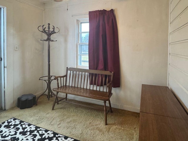 sitting room featuring carpet