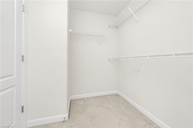 4455 Greystone Place Ct, Winston-Salem, NC 27106 - walk in closet featuring carpet