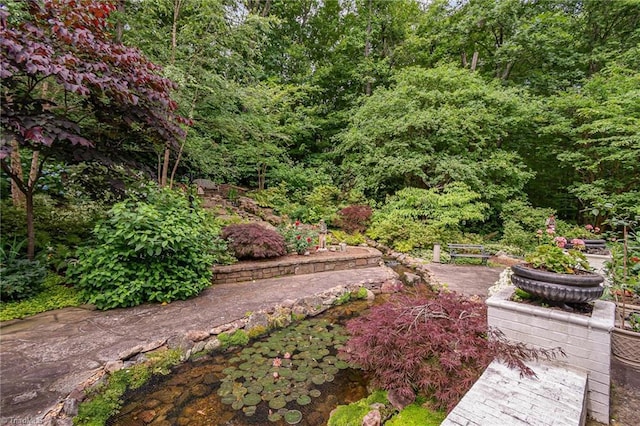 4432 Bent Tree Farm Rd, Winston-Salem, NC 27104 - view of yard with a forest view