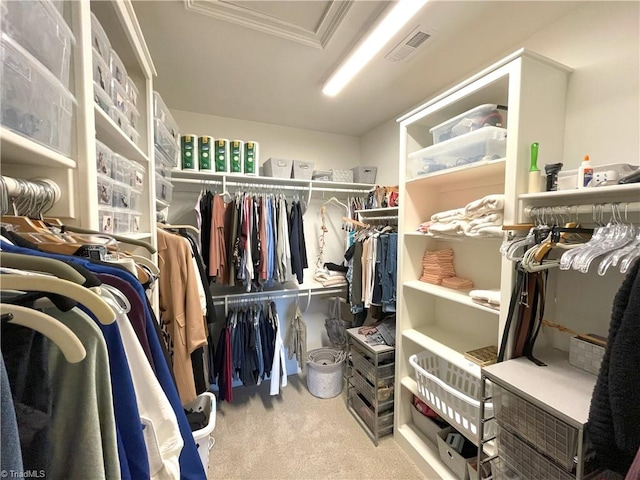 spacious closet featuring visible vents and carpet floors