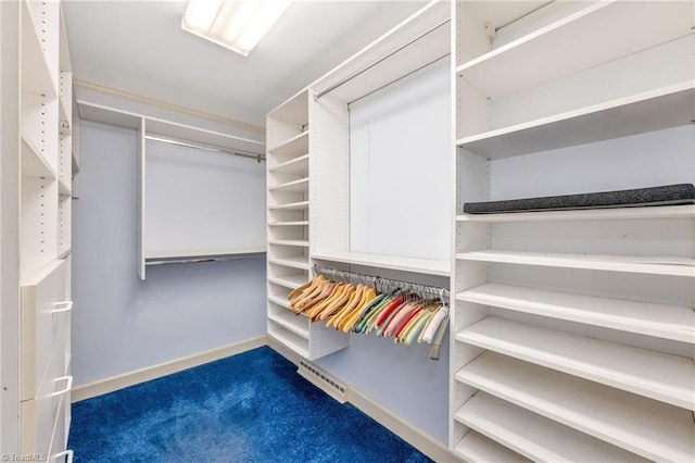 spacious closet with carpet floors