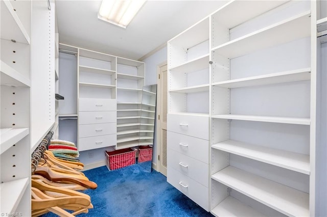 walk in closet with carpet floors