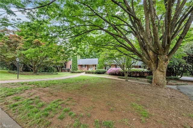 view of front of home featuring a front yard