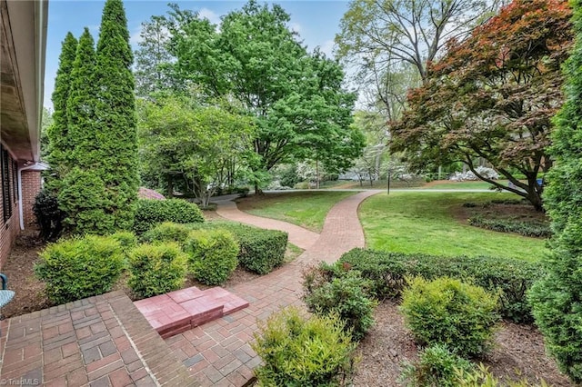 surrounding community featuring a lawn