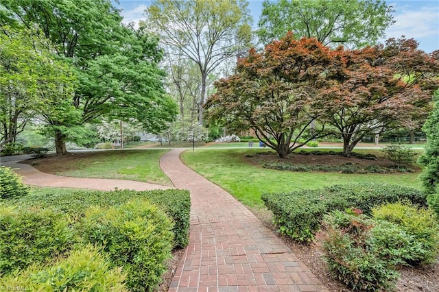 view of community featuring a yard
