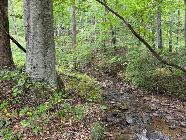 view of local wilderness