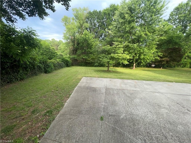 157 Peace Haven Rd N, Winston-Salem, NC 27104 - view of green lawn featuring a patio