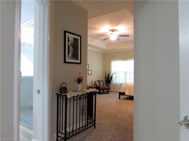 hallway featuring a raised ceiling and carpet