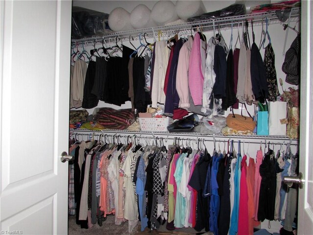view of closet