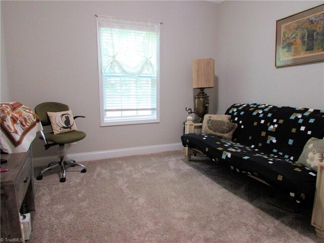 sitting room with carpet floors and baseboards