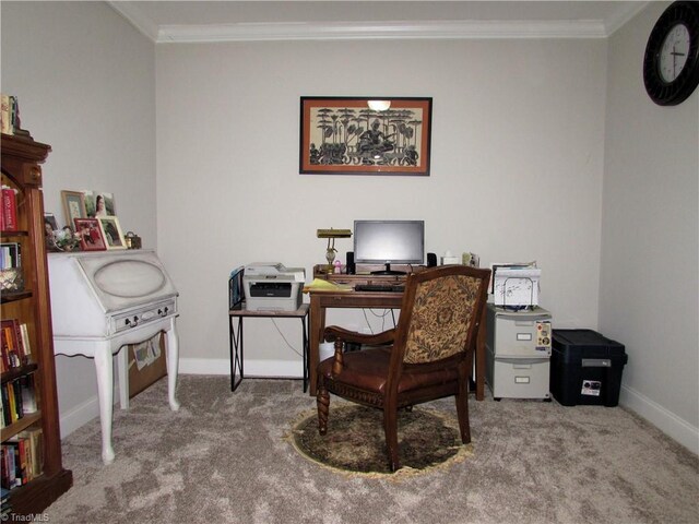 office with carpet, ornamental molding, and baseboards