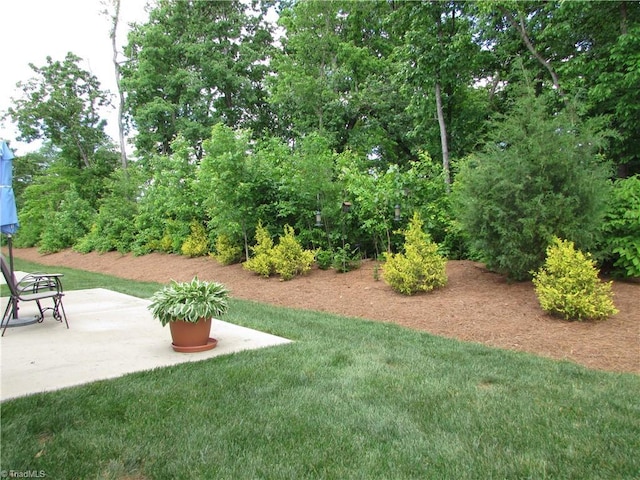 view of green lawn with a patio area