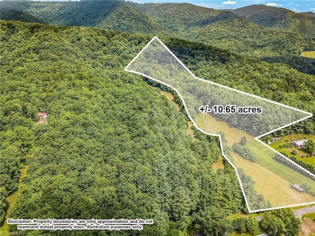 0000 Waite Rd, Lowgap, NC 27024