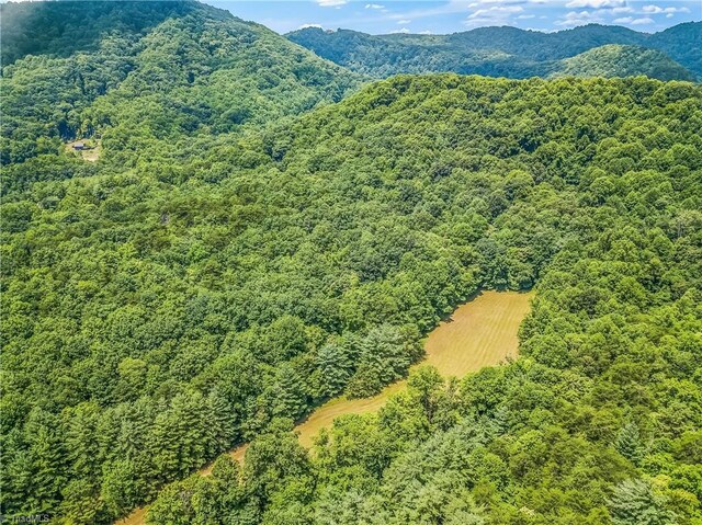 0000 Waite Rd, Lowgap, NC 27024