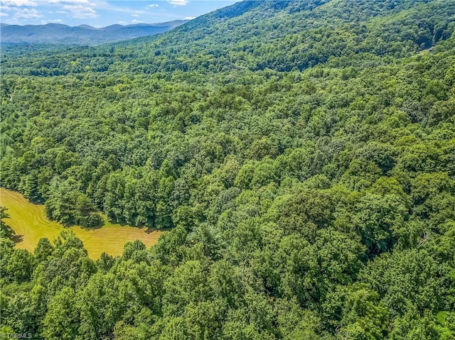 0000 Waite Rd, Lowgap, NC 27024