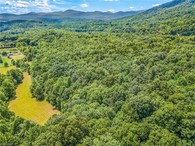 0000 Waite Rd, Lowgap, NC 27024