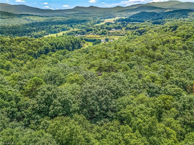 0000 Waite Rd, Lowgap, NC 27024