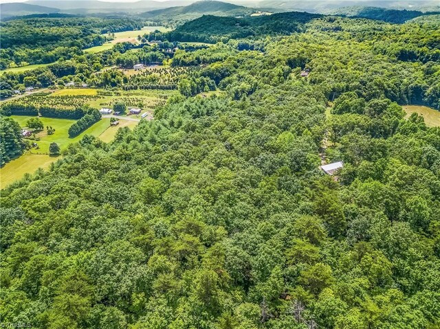 0000 Waite Rd, Lowgap, NC 27024