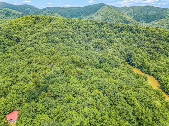 0000 Waite Rd, Lowgap, NC 27024