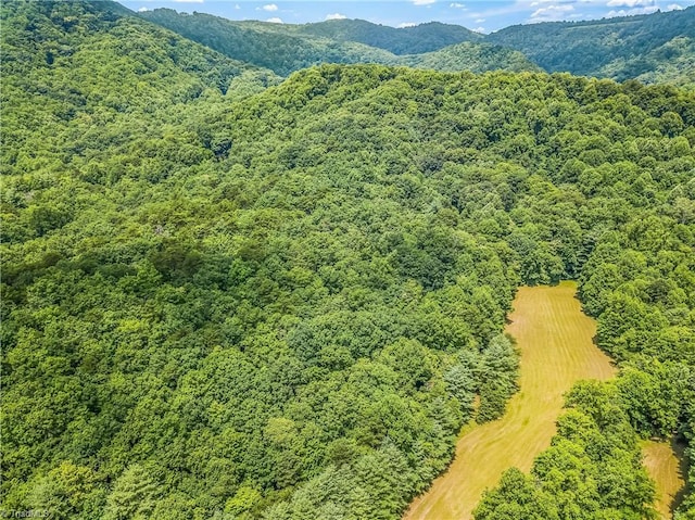 0000 Waite Rd, Lowgap, NC 27024