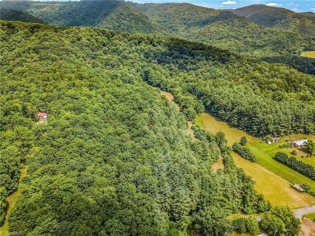 0000 Waite Rd, Lowgap, NC 27024