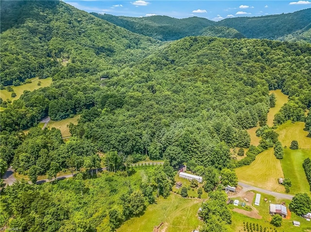 0000 Waite Rd, Lowgap, NC 27024