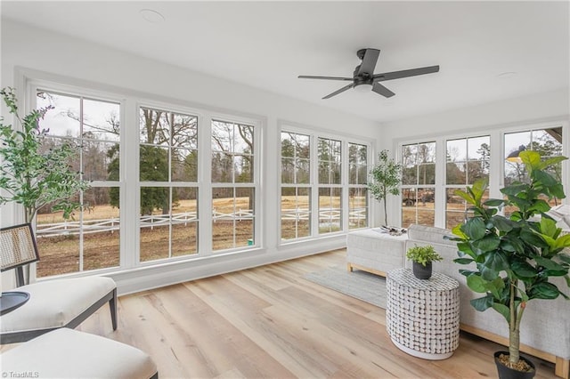 unfurnished sunroom with ceiling fan