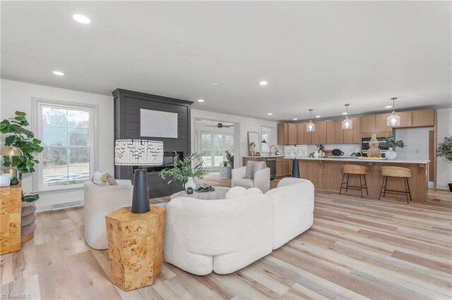 living room with ceiling fan and light hardwood / wood-style floors