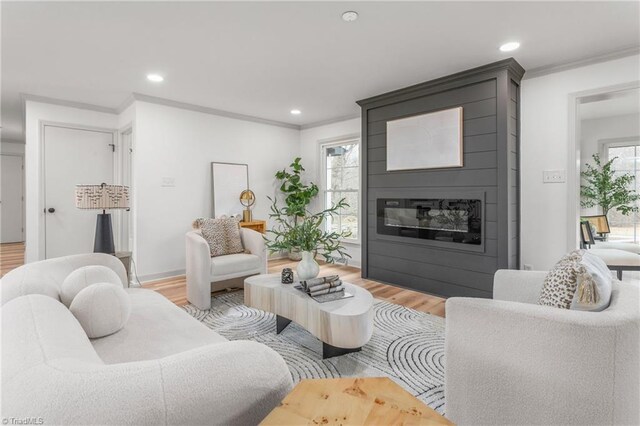 living room featuring crown molding, wood-type flooring, and a large fireplace