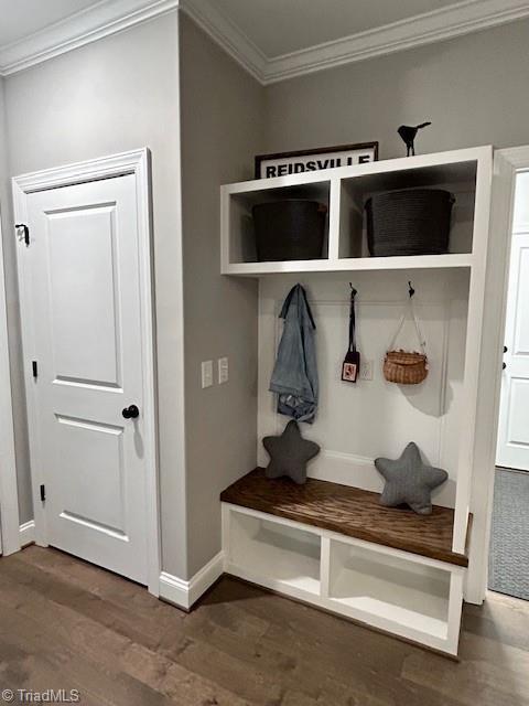 mudroom with ornamental molding and dark hardwood / wood-style flooring