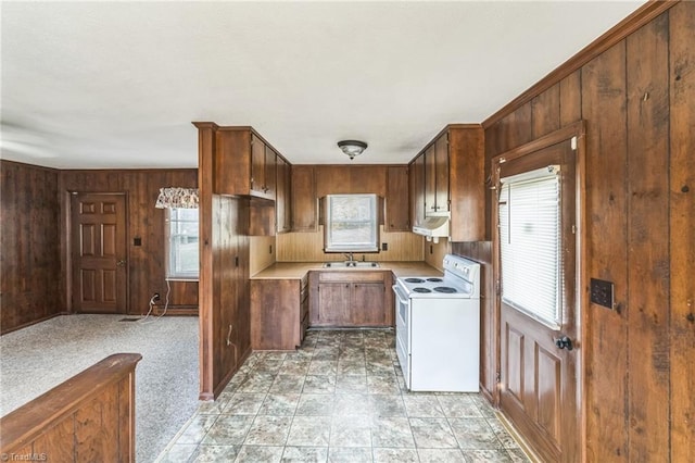 kitchen featuring wood walls, ventilation hood, sink, electric range, and light colored carpet