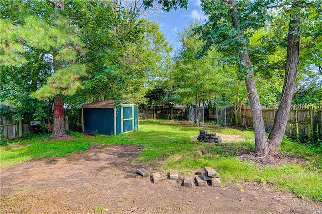 view of yard featuring a shed