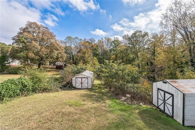 view of yard with a storage unit