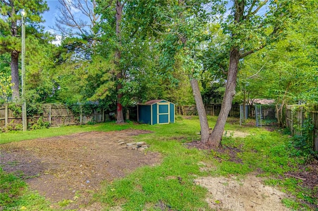 view of yard with a storage unit