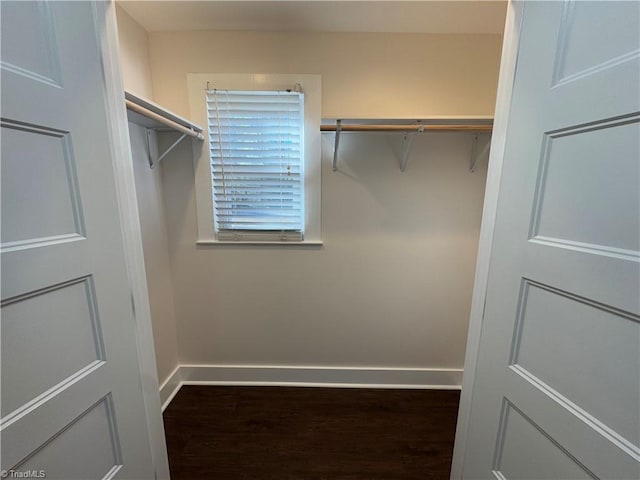 walk in closet with dark hardwood / wood-style flooring