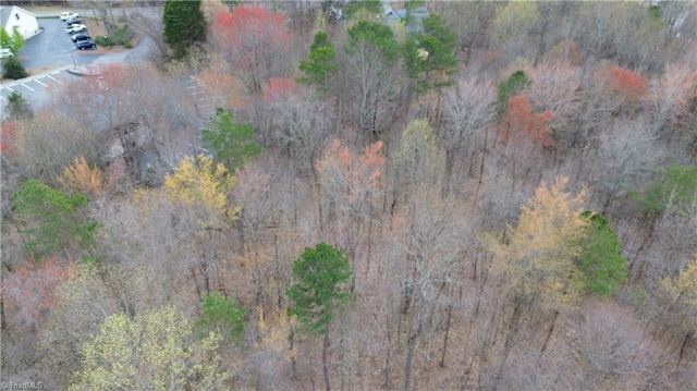 aerial view of property's location